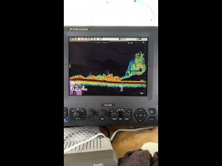 ヤマハ DY39M(GBH)