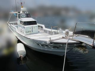 ヤンマー あらしおDE37BF