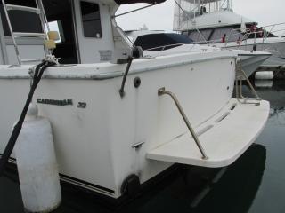 バートラム カリビアンバートラム32
