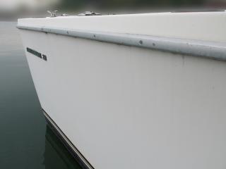 バートラム カリビアンバートラム32