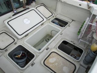 ヤマハ UF30(GP5)