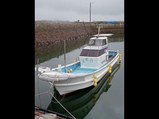 ヤンマー DE29B