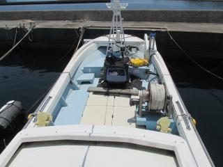 ヤマハ DY36N(G2K)