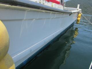 ヤマハ DY36N(G2K)