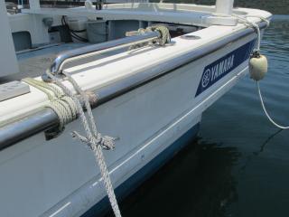ヤマハ DY36N(G2K)