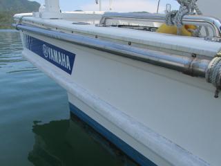 ヤマハ DY36N(G2K)
