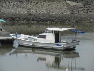 ヤマハ DY29C(GBR)
