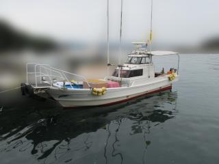 ヤマハ DY29C(GBR)