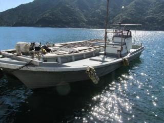 ヤンマー ZD32