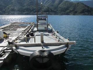 ヤンマー ZD32