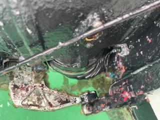 ヤンマー DE24CZ