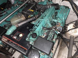 バーチウッド Birchwood TS390