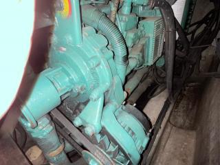 バーチウッド Birchwood TS390