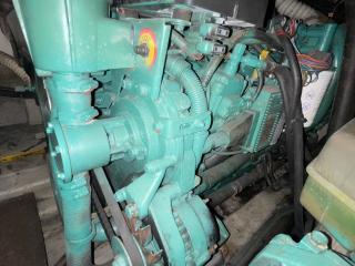 バーチウッド Birchwood TS390