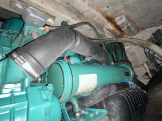 バーチウッド Birchwood TS390