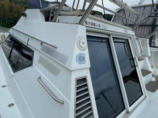 バーチウッド Birchwood TS390