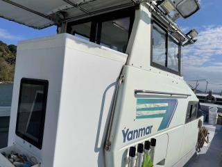 ヤンマー あらしおDE43CF