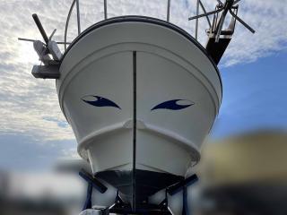 ヤンマー あらしおDE43CF