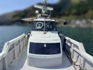 ヤンマー はやすいDE35F2