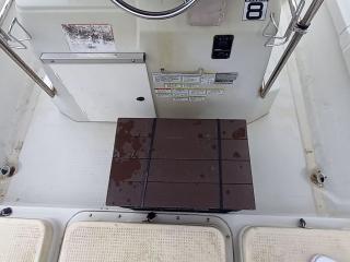 ヤマハ ベイフィッシャー25  