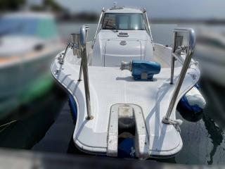ヤンマー はやかぜEX30-BK