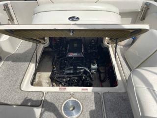 シーレイ 245ウィークエンダー