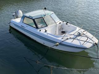 ニッサン サンキャット7.7SCC770 THT