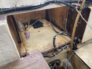ヤマハ DY39