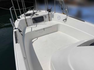 スズキ シージョイFF230Ⅱ