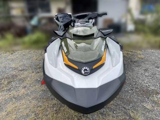 SEA-DOO FISH PRO SD18K
