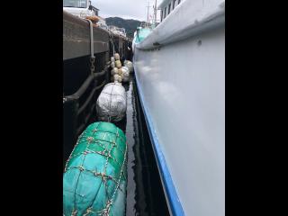 ヤマハ 和船一本釣り漁船13t