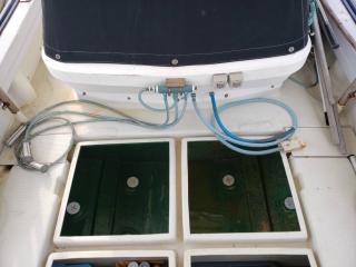 ヤマハ DX30(GGA)
