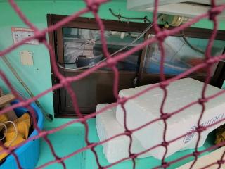 吉海造船所 漁船50フィ-ト