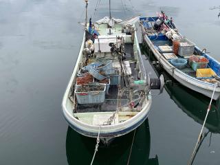 ヤンマー ZD30