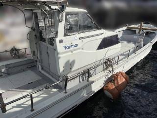 ヤンマー DE30
