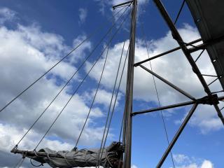 ヤンマー DE30