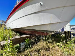 ヤマハ U-19F