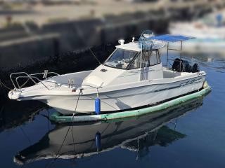ニッサン ジョイフィッシャー750 FP750T