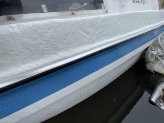 ヤマハ FISH24