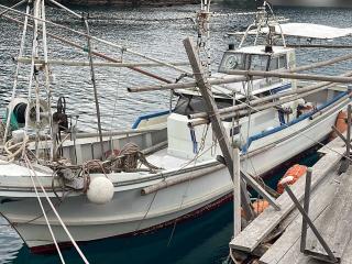ヤンマー あらしおDE32
