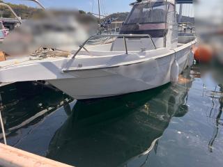 ヤンマー FX24Z
