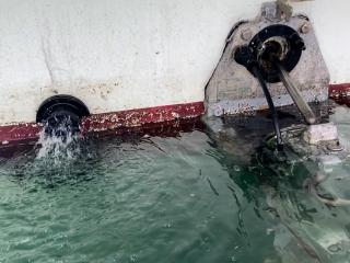 ヤンマー はまかぜZN24A3