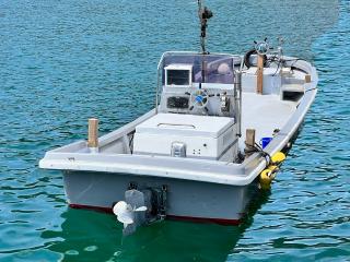 ヤンマー ZD28