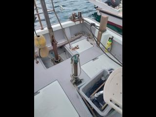 ヤンマー はやしおDE25