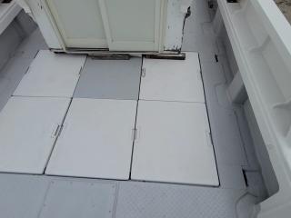 ヤンマー あらしおDE29F