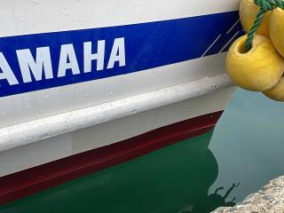 ヤマハ DY45G