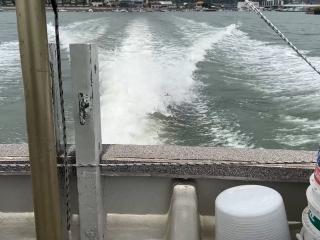 ヤンマー DE31