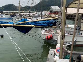 ヤンマー DE31
