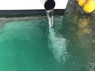共立レジンクラフト 51f漁船(実寸)