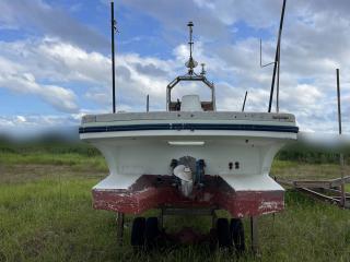 ヤンマー ZD30